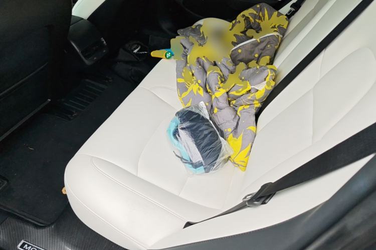 Used Tesla Model 3 2019 Long-Range Rear-Wheel-Drive Version Left Rear Seat