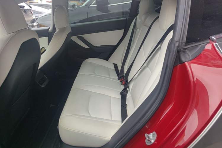 Used Tesla Model 3 2019 Long-Range Rear-Wheel-Drive Version Left Rear Seat