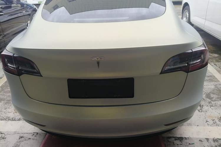 Used Tesla Model 3 2019 Long-Range Rear-Wheel-Drive Version Rear
