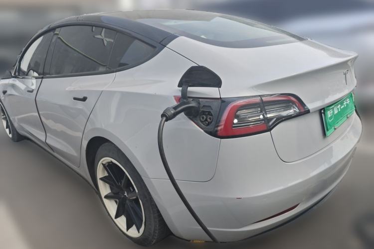 Used Tesla Model 3 2019 Long-Range Rear-Wheel-Drive Version Rear Left 45 Deg