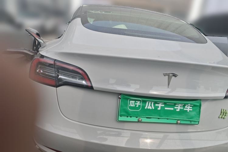 Used Tesla Model 3 2019 Long-Range Rear-Wheel-Drive Version Rear