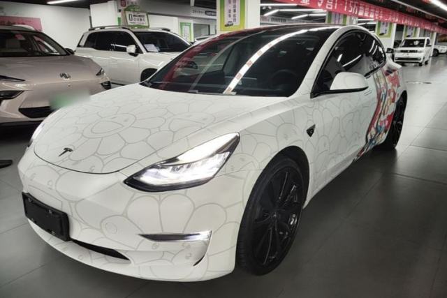 Used Tesla Model 3 2019 Long-Range All-Wheel-Drive Version