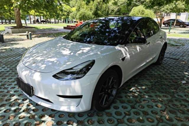 Used Tesla Model 3 2019 Standard Range Rear-Drive Upgraded Version