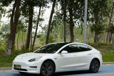 Used Tesla Model 3 2019 Standard Range Rear-Wheel Drive Upgraded Version (52 kWh)