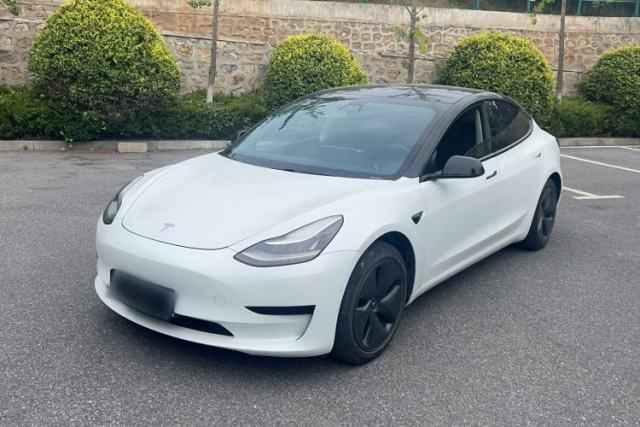 Ojetý Tesla Model 3 2019 Standard Range Rear-Drive Upgraded Version