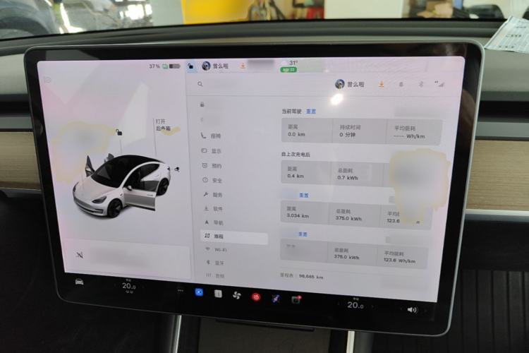 Used Tesla Model 3 2019 Standard Range Rear-Wheel Drive Upgraded Version (60 kWh) Center Console