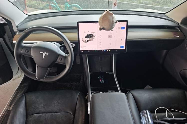 Used Tesla Model 3 2019 Standard Range Rear-Wheel Drive Upgraded Version (60 kWh) Center Console