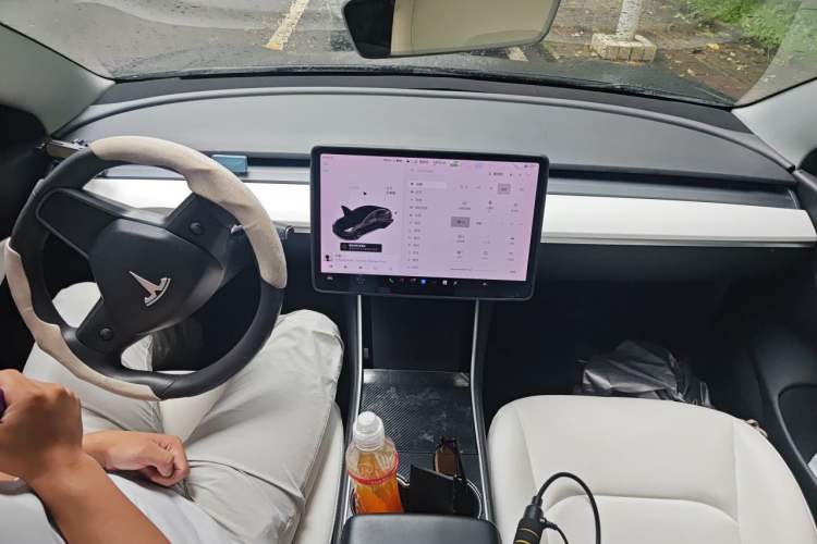 Used Tesla Model 3 2019 Standard Range Rear-Wheel Drive Upgraded Version (52 kWh) Center Console