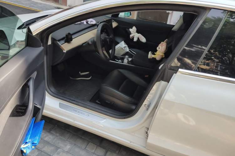 Used Tesla Model 3 2019 Standard Range Rear-Drive Upgraded Version Driver Seat