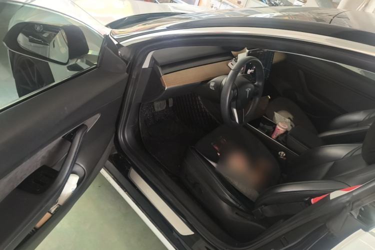 Used Tesla Model 3 2019 Standard Range Rear-Drive Upgraded Version Driver Seat