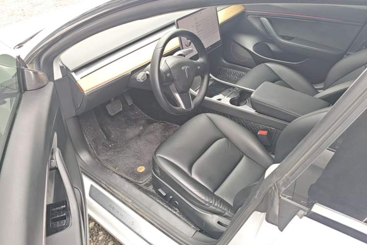 Used Tesla Model 3 2019 Standard Range Rear-Drive Upgraded Version Driver Seat