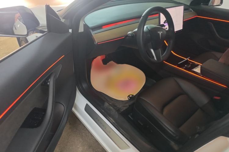 Used Tesla Model 3 2019 Standard Range Rear-Drive Upgraded Version Driver Seat