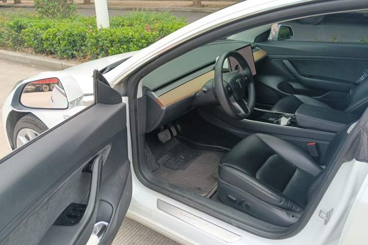 Used Tesla Model 3 2019 Standard Range Rear-Drive Upgraded Version Driver Seat