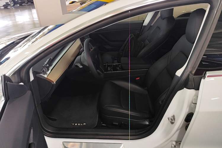 Used Tesla Model 3 2019 Standard Range Rear-Drive Upgraded Version Driver Seat
