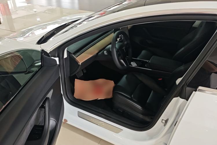 Used Tesla Model 3 2019 Standard Range Rear-Drive Upgraded Version Driver Seat