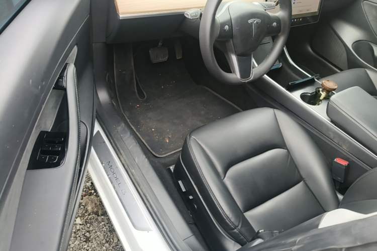 Used Tesla Model 3 2019 Standard Range Rear-Drive Upgraded Version Driver Seat