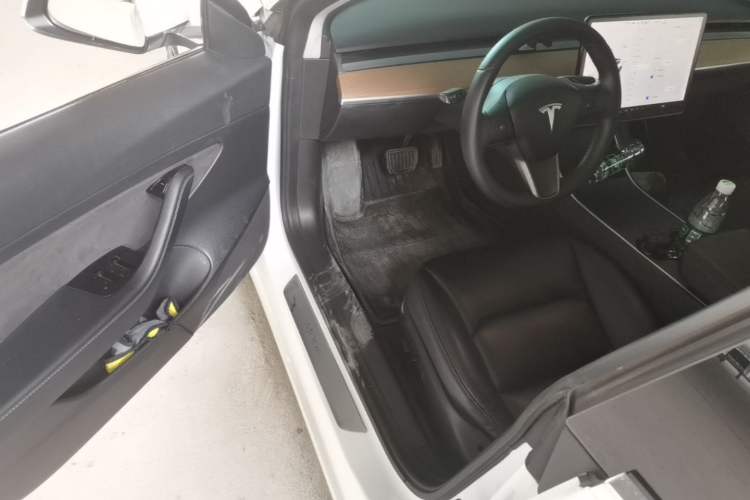 Used Tesla Model 3 2019 Standard Range Rear-Drive Upgraded Version Driver Seat