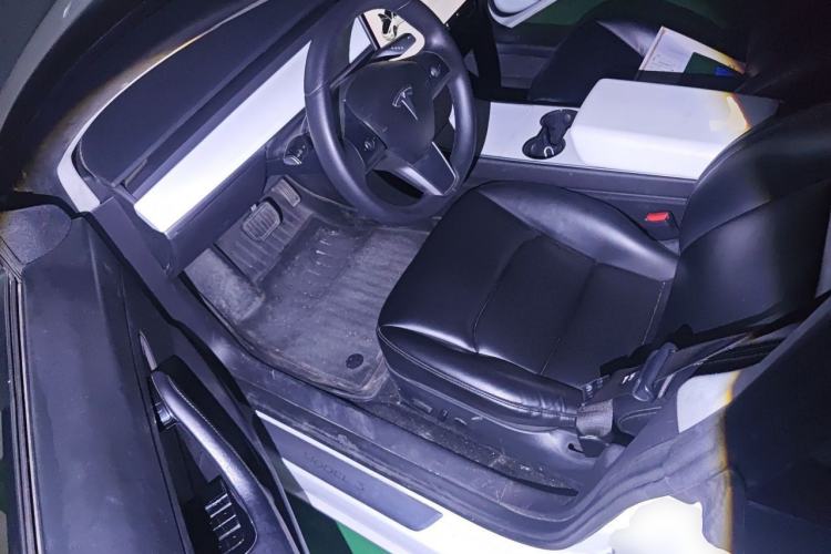 Used Tesla Model 3 2019 Standard Range Rear-Drive Upgraded Version Driver Seat