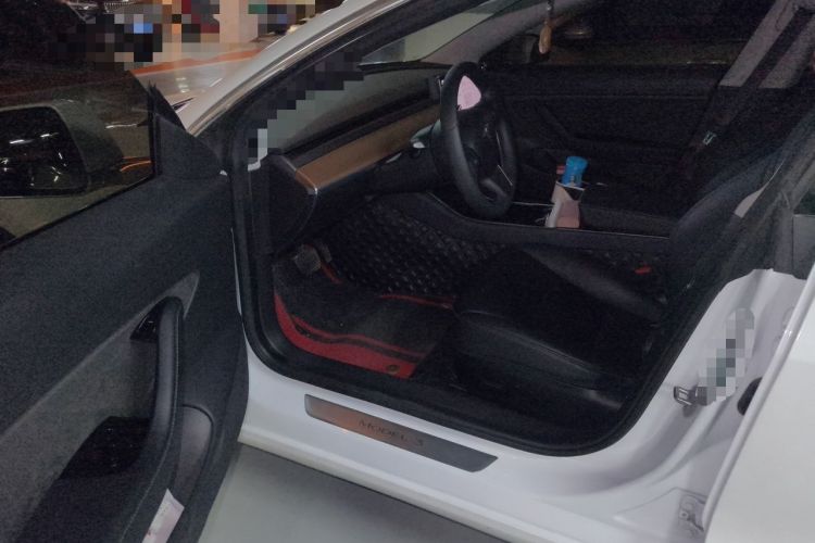 Used Tesla Model 3 2019 Long-Range All-Wheel-Drive Version Driver Seat