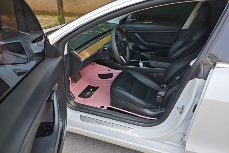 Used Tesla Model 3 2019 Standard Range Rear-Drive Upgraded Version Driver Seat
