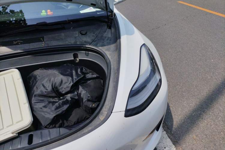 Used Tesla Model 3 2019 Standard Range Rear-Wheel Drive Upgraded Version (60 kWh) Engine Bay Left