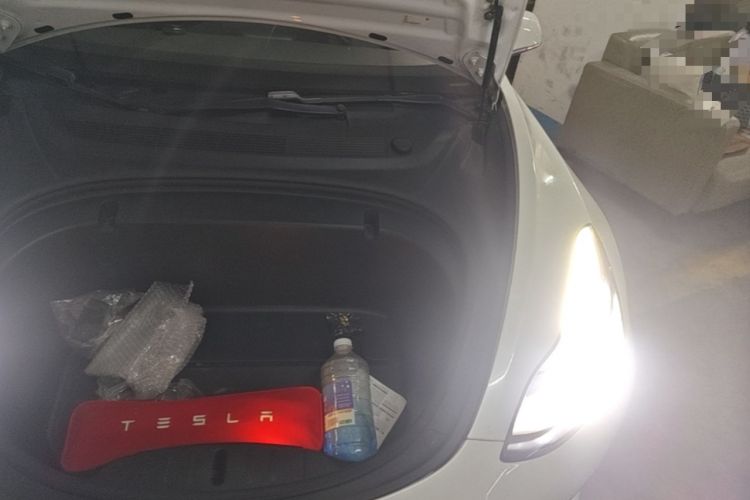 Used Tesla Model 3 2019 Standard Range Rear-Wheel Drive Upgraded Version (52 kWh) Engine Bay Left