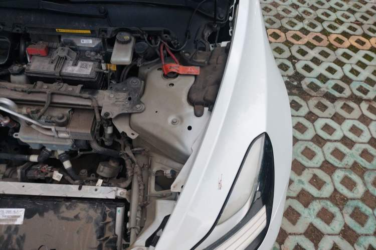 Used Tesla Model 3 2019 Long-Range Rear-Wheel-Drive Version Engine Bay Left
