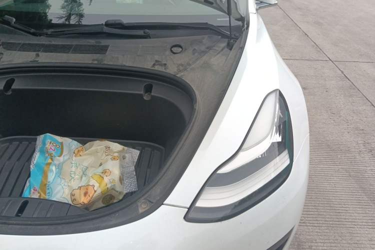 Used Tesla Model 3 2019 Standard Range Rear-Drive Upgraded Version Engine Bay Left