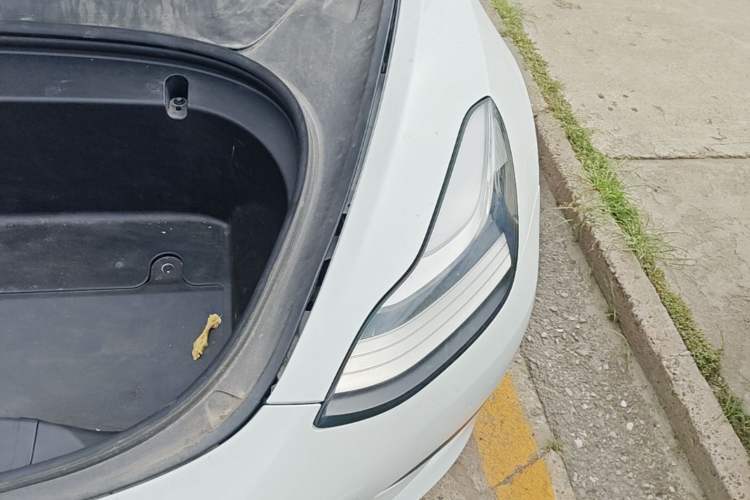 Used Tesla Model 3 2019 Standard Range Rear-Drive Upgraded Version Engine Bay Left