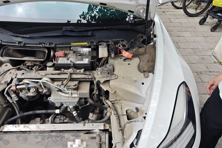 Used Tesla Model 3 2019 Long-Range Rear-Wheel-Drive Version Engine Bay Left