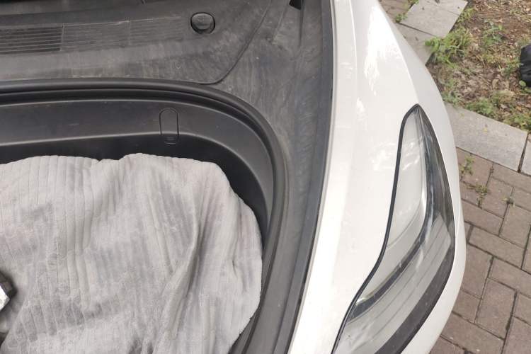 Used Tesla Model 3 2019 Long-Range Rear-Wheel-Drive Version Engine Bay Left