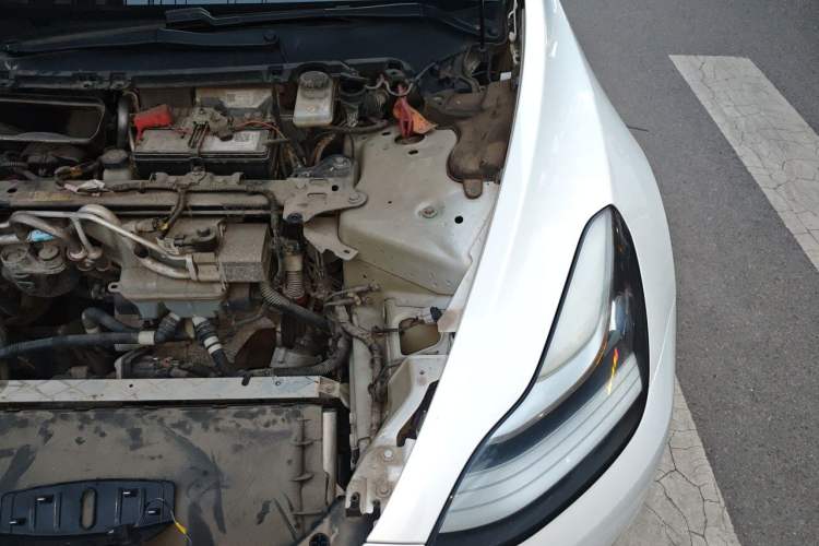 Used Tesla Model 3 2019 Performance High-Performance All-Wheel-Drive Version Engine Bay Left