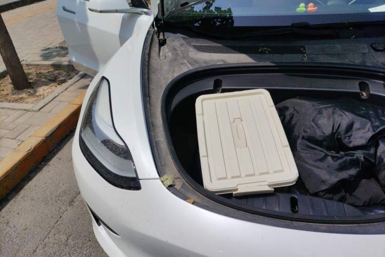 Used Tesla Model 3 2019 Standard Range Rear-Wheel Drive Upgraded Version (60 kWh) Engine Bay Right