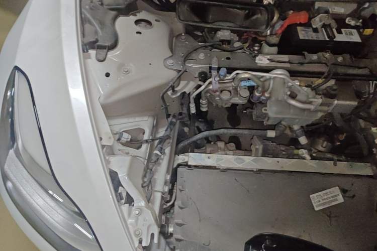 Used Tesla Model 3 2019 Long-Range Rear-Wheel-Drive Version Engine Bay Right