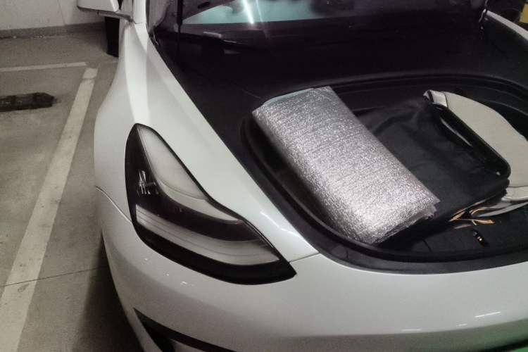 Used Tesla Model 3 2019 Standard Range Rear-Wheel Drive Upgraded Version (60 kWh) Engine Bay Right