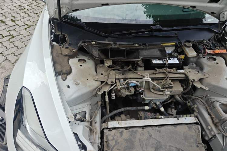 Used Tesla Model 3 2019 Standard Range Rear-Drive Upgraded Version Engine Bay Right