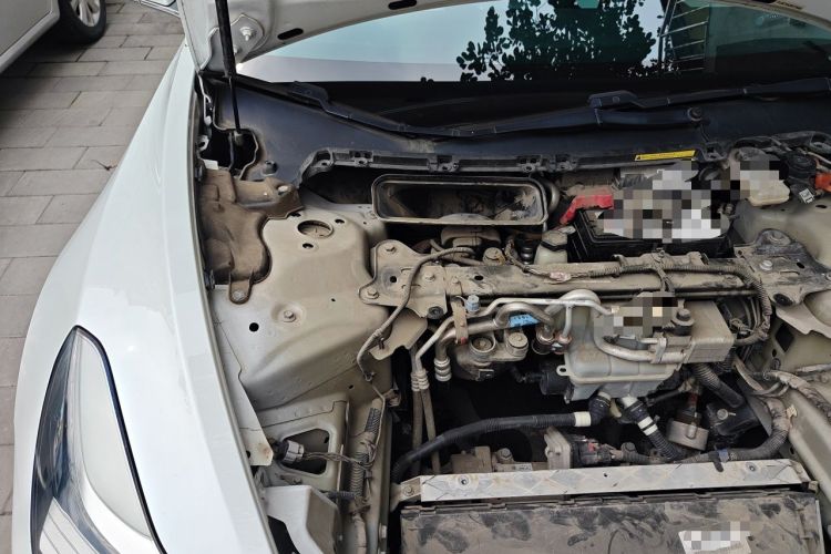 Used Tesla Model 3 2019 Long-Range Rear-Wheel-Drive Version Engine Bay Right