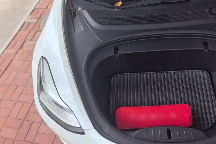 Used Tesla Model 3 2019 Standard Range Rear-Wheel Drive Upgraded Version (52 kWh) Engine Bay Right