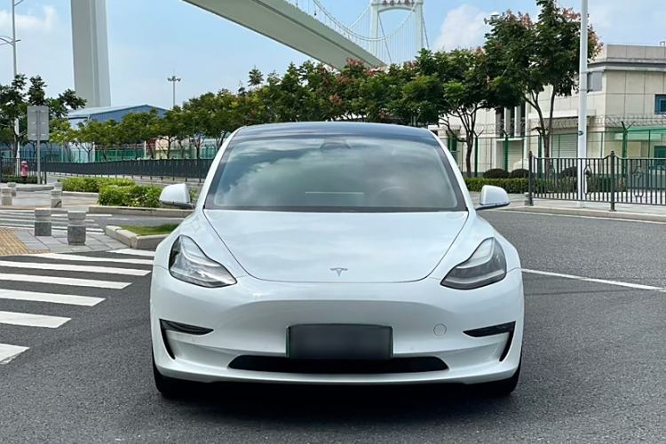 Used Tesla Model 3 2019 Long-Range All-Wheel-Drive Version Exterior 1
