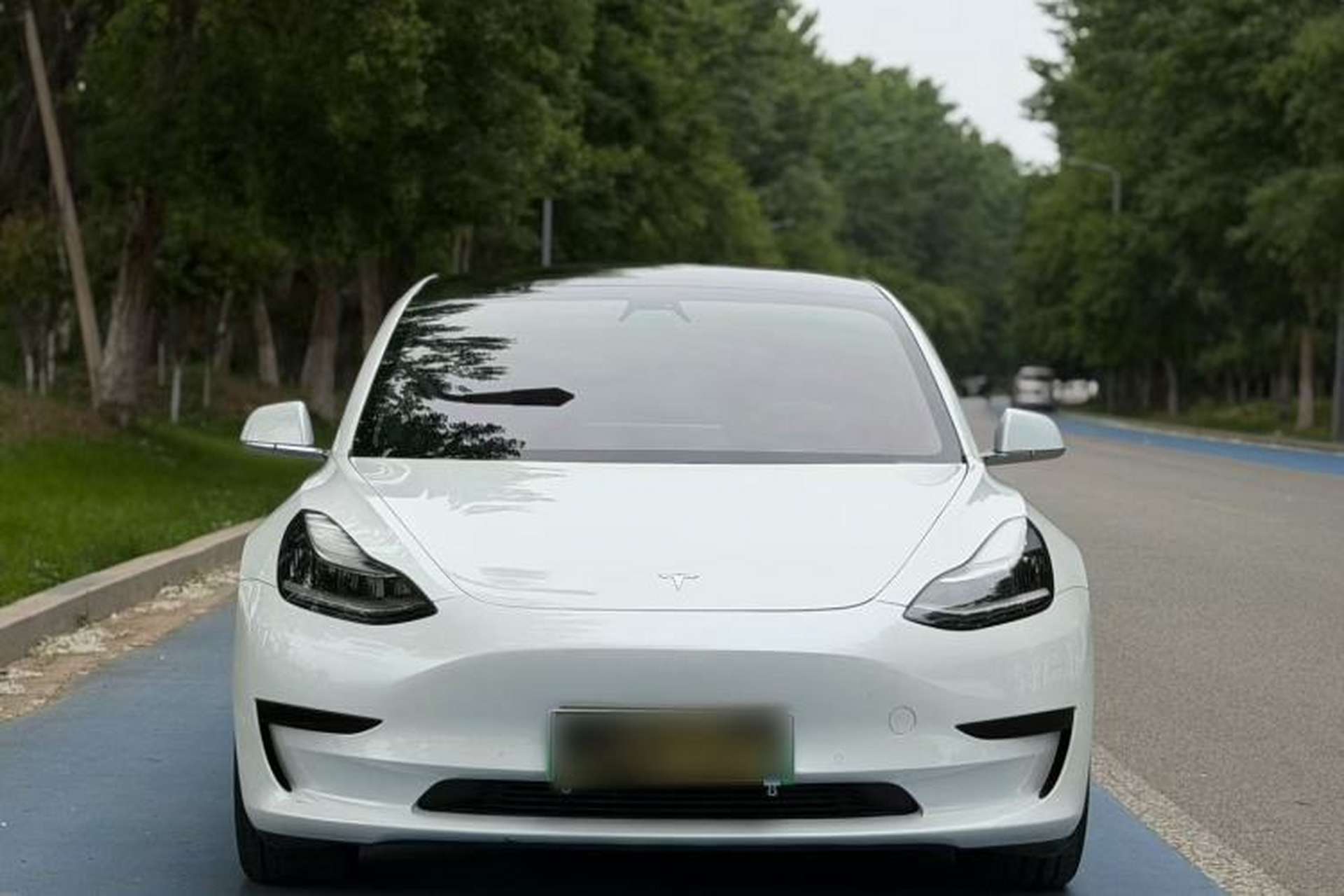 Used Tesla Model 3 2019 Standard Range Rear-Wheel Drive Upgraded Version (52 kWh) Exterior 1