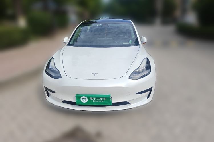 Used Tesla Model 3 2019 Standard Range Rear-Drive Upgraded Version Exterior 1