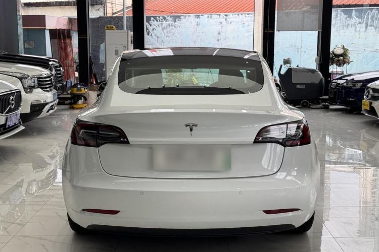 Used Tesla Model 3 2019 Long-Range Rear-Wheel-Drive Version Exterior 1