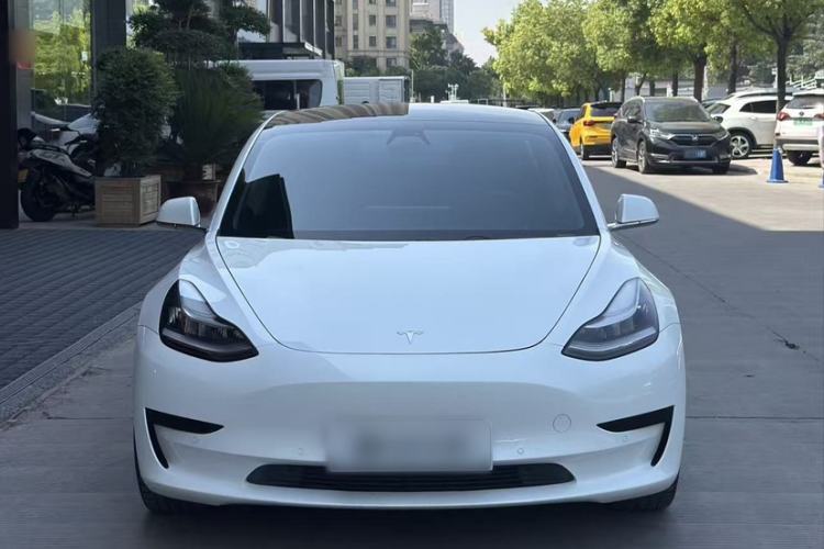 Used Tesla Model 3 2019 Long-Range Rear-Wheel-Drive Version Exterior 1