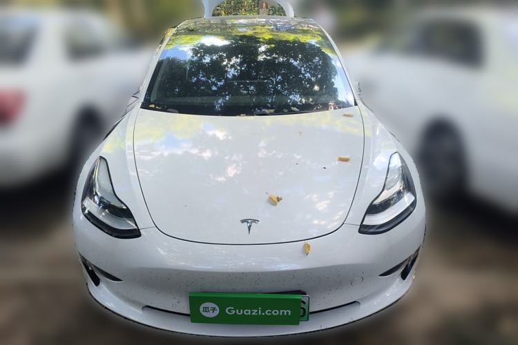 Used Tesla Model 3 2019 Long-Range Rear-Wheel-Drive Version Exterior 1