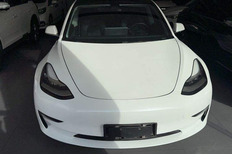 Used Tesla Model 3 2019 Long-Range All-Wheel-Drive Version Exterior 1