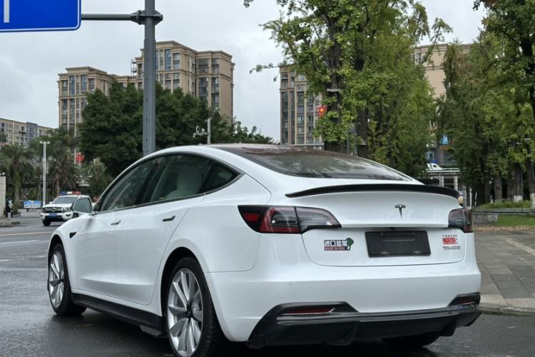Used Tesla Model 3 2019 Long-Range Rear-Wheel-Drive Version Exterior 10