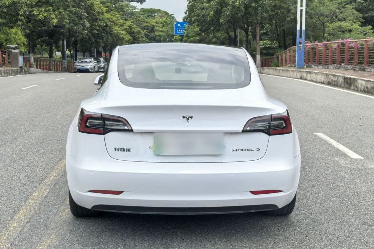Used Tesla Model 3 2019 Standard Range Rear-Drive Upgraded Version Exterior 10