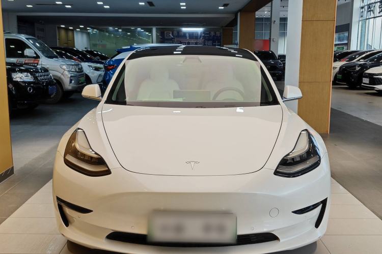 Used Tesla Model 3 2019 Long-Range Rear-Wheel-Drive Version Exterior 13