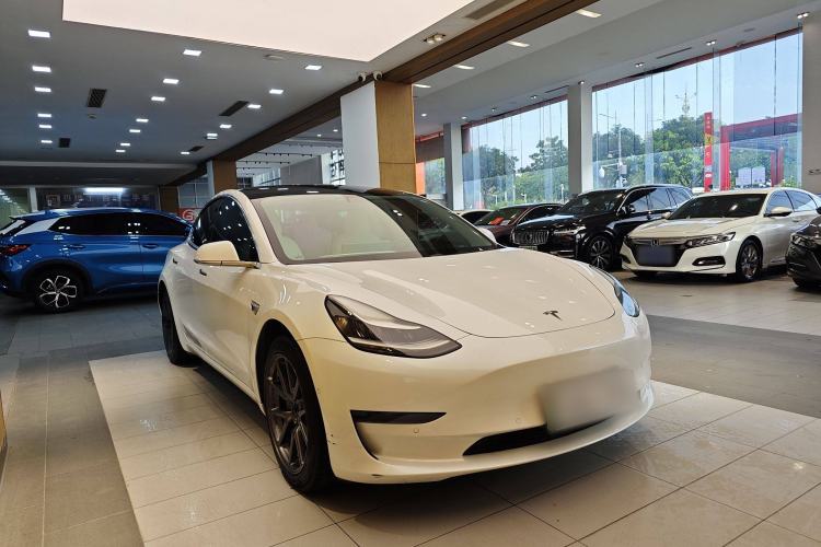 Used Tesla Model 3 2019 Long-Range Rear-Wheel-Drive Version Exterior 14