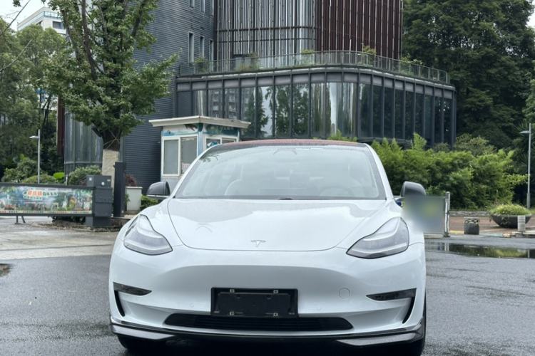 Used Tesla Model 3 2019 Long-Range Rear-Wheel-Drive Version Exterior 2